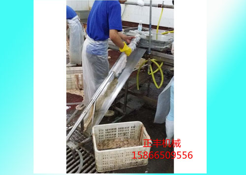 翻大腸清洗機(jī)